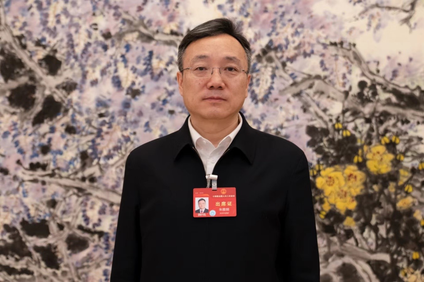 朱雅频代表：以检察工作现代化服务首都现代化建设(图1)