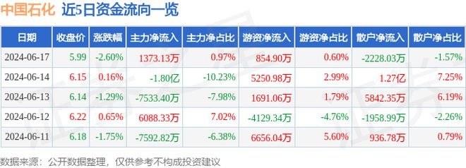 中国石化（600028）6月17日主力资金净买入137313万元(图1)