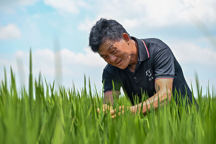 打开城乡融合发展新空间——当前抓改革促发展观察之七(图2) 打开城乡融合发展新空间——当前抓改革促发展观察之七(图2)