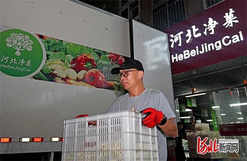 牢记嘱托 感恩奋进 奋力谱写中国式现代化建设河北篇章丨“河北净菜”进京记(图3)